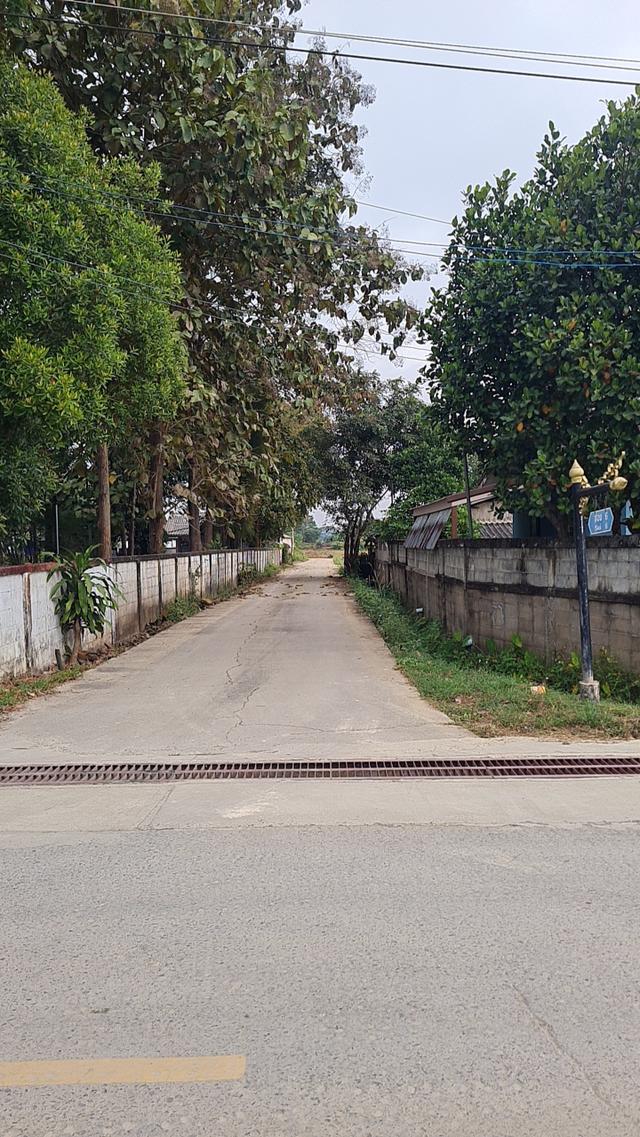 ขายที่ดินเปล่าถมดินแล้ว 4