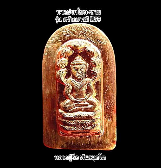 พระนาคปรกใบมะขาม รุ่น สร้างบารมี รูปย่อยที่ 2