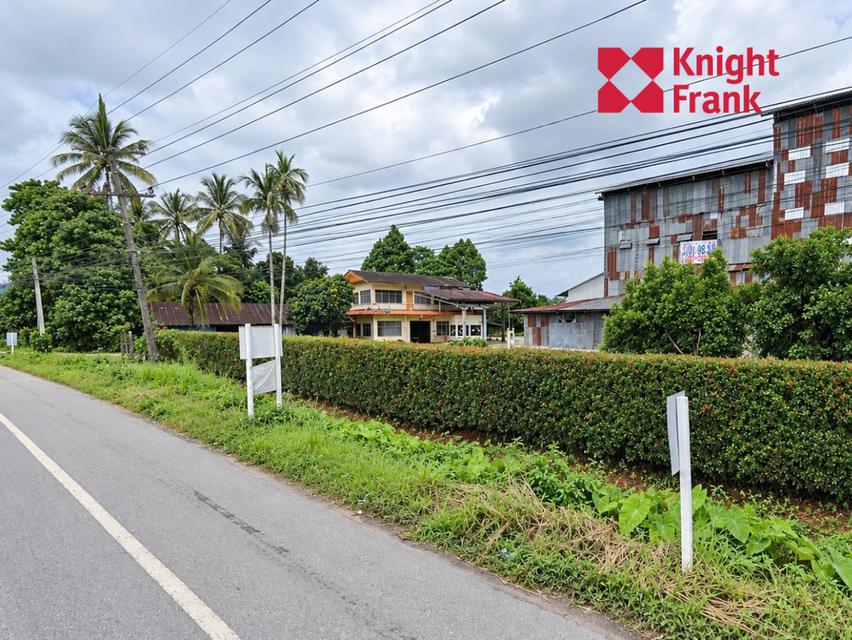 ขายที่ดินพร้อมโรงงาน 61 ไร่ ติดถนนพหลโยธิน อำเภอแม่จัน จังหวัดเชียงราย 4