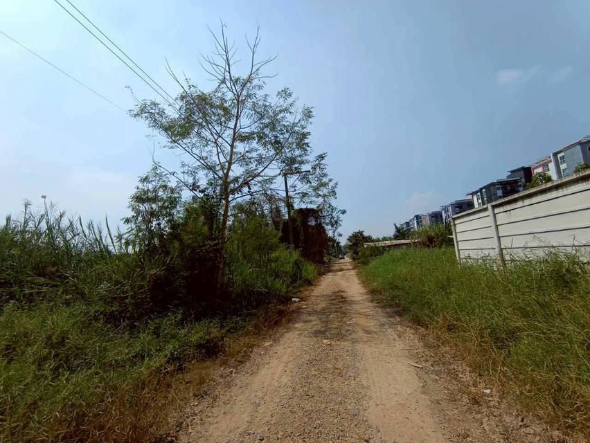 [ขายด่วน!] ที่ดินจัดสรรทำเลทอง คลอง 6 - ใกล้ มทร.ธัญบุรี ราคาพิเศษเพียง 690,000 บาท/แปลง (เฉลี่ยเพียง 6,900.-/ตร.ว. ถูกที่สุดในย่านนี้!) 7