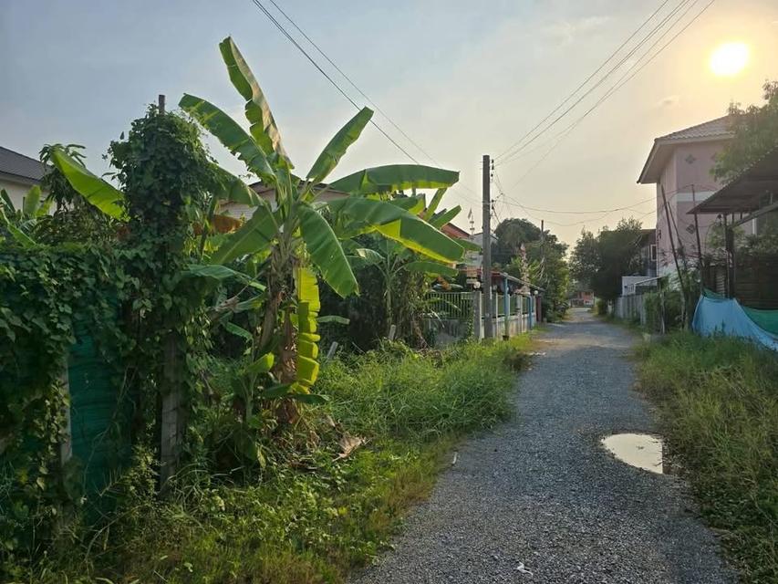 ขายด่วนทีดิน 50 ตารางวา ตรงข้ามบีสมาร์ท พลาซ่า ซอย ทรัพย์รุ่งโรจน์ อ.เมืองนนทบุรี จ.นนทบุรี 4