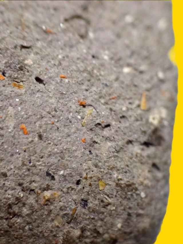 ปู่ทวดเนื้อว่าน 2497 2