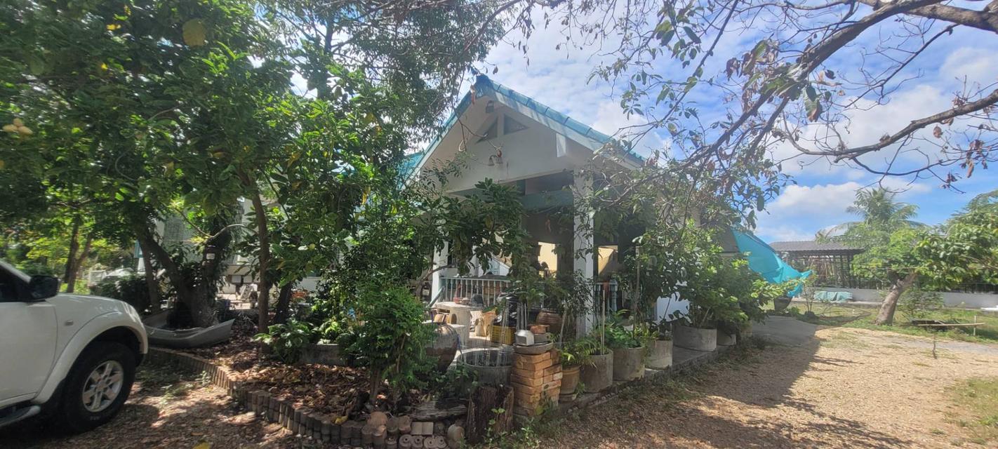 🏡✨ ขายที่ดินพร้อมบ้านพักตากอากาศ บรรยากาศธรรมชาติ ใกล้มอเตอร์เวย์ M81 ✨🏡 📍ต.ยางม่วง อ.ท่ามะกา จ.กาญจนบุรี เนื้อที่ทั้งหมด 3 ไร่ 1 งาน 11 ตารางวา 7