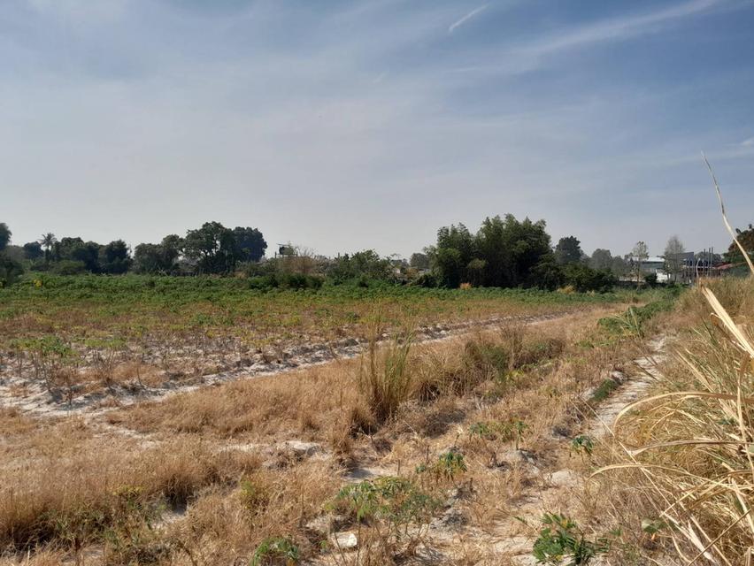 Land and building workshop 4