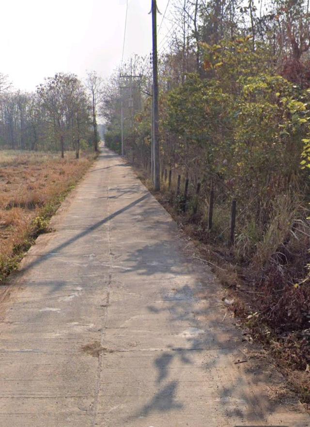 ที่ดินแปลงสวยเพชรบูรณ์ใกล้ถนนหลักใกล้ชมชนใกล้แหล่งท่องเที่ยว 3