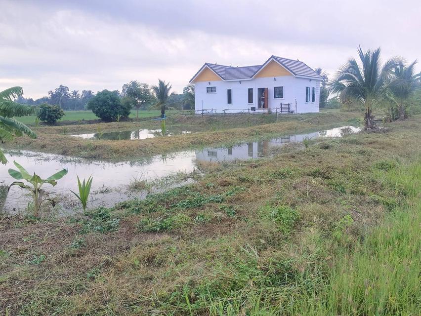 บ้านสวนสวย 5