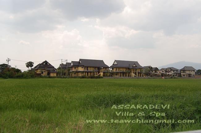 ประกาศขายโรงแรม ที่เชียงใหม่ อยู่หางดง เยื้อง อบต สันผักหวาน