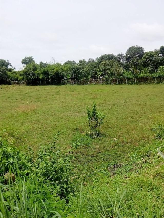 ที่ดิน อำเภอเมืองนครนายก 1