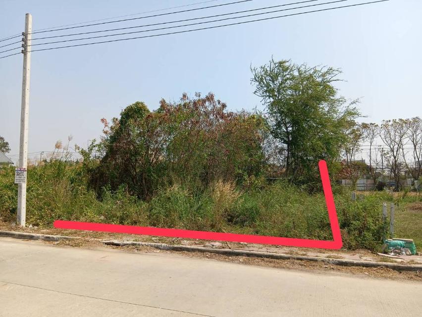 ที่ดิน 56.1 ตารางวา ถมแล้ว ซอยเฉลิมพระเกียรติ 39/2 ติดสวนหลวงร 9 เขตประเวศ กรุงเทพฯ 6