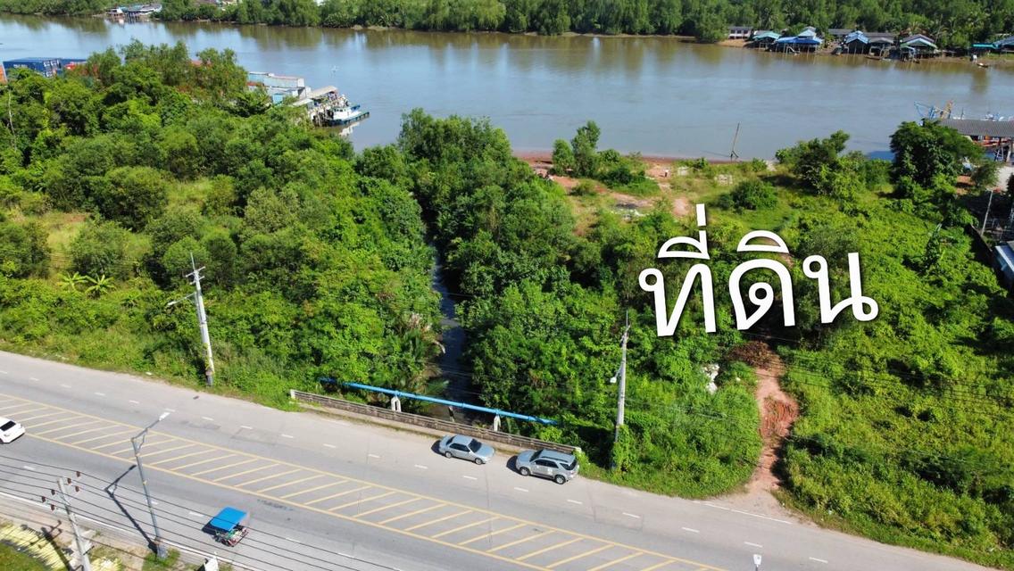 ขายที่ดินติดแม่น้ำตาปีในเมืองสุราษฎร์ธานี