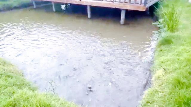 พร้อมออฟฟิศ 3 ไร่ รังสิตคลอง 3 7นอน ร้านพี่ญาคนรุม 3 กม.ตลาดชุมพล 1.2 กม. ให้เช่าบ้าน 7น้ำ ทำเลดี สวนน้ำเปรม วอร์เตอร์ปา 5