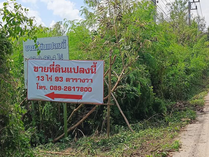 ขายที่ดิน 7