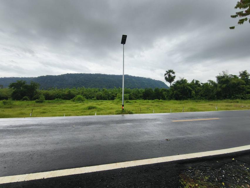 ขายที่ดินทำเลสวยติดเขาใหญ่ใกล้แหล่งท่องเที่ยวติดเขาใหญ่ 5