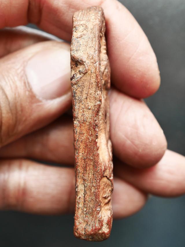 พระเชียงแสน ปรกโพธิ์ พิมพ์ใหญ่ เนื้อดิน ขนาด 3 x 6 ซม....เก่าๆ รูปที่ 9