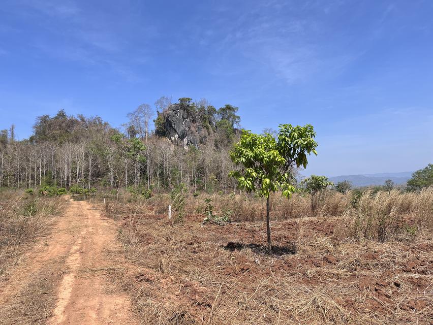 ขายที่ดิน วิวภูเขา⛰️📍จำนวน4ไร่  = 2แปลงติดกัน*แปลงที่1 (2ไร่)*แปลงที่2 (2ไร่)📍ราคาไร่ละ350,000 บาทเอกสาร  นส4จฟรีโอนกรรมสิทธ์ บรรยากาศดี วิวสวย สงบ 6