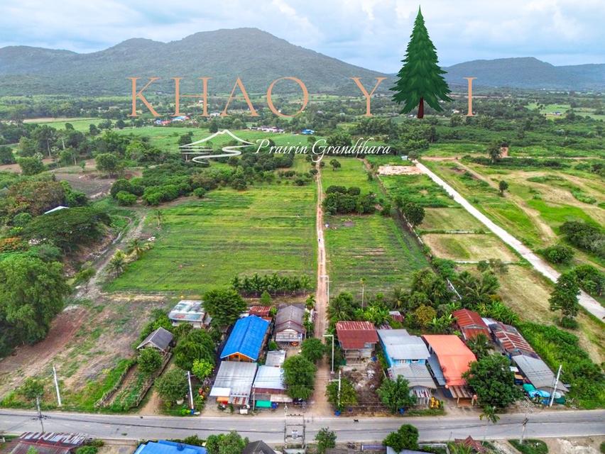 บรรยากาศเขาใหญ่ ปากช่อง #ติดลำธาร  เพียง 7,500/ตรว. ผ่อน12งวด #ฟรีดอกเบี้ย 9
