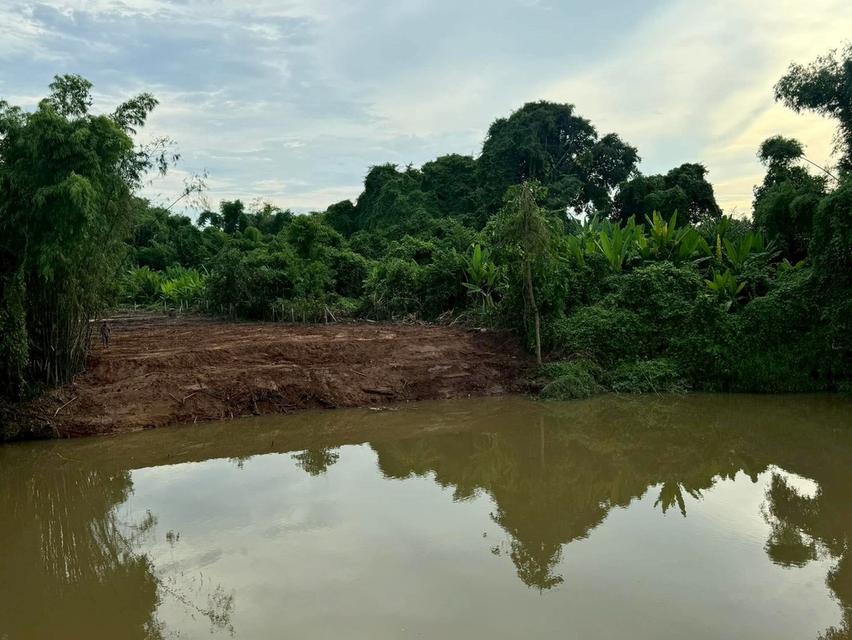 โอกาสพิเศษ ที่ดินริมน้ำนครนายก เกือบ 2 ไร่ ปรับราคาลงเหลือ 4.5 ล้านบาท 6