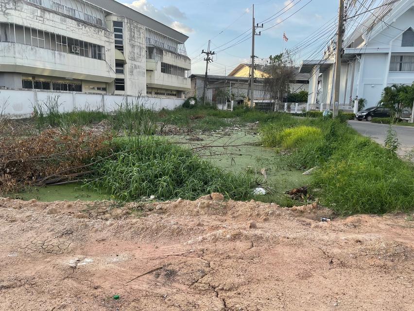 ที่ดินแปลงติดต่อกัน รวม 3 โฉนด 2