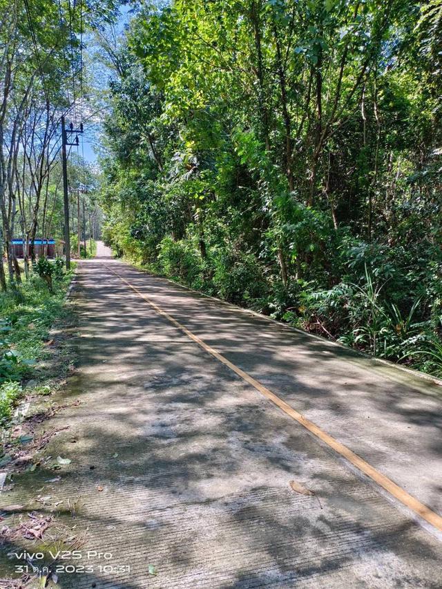ขายที่ดินบนเกาะ สวยมาก โฉนด พังงา