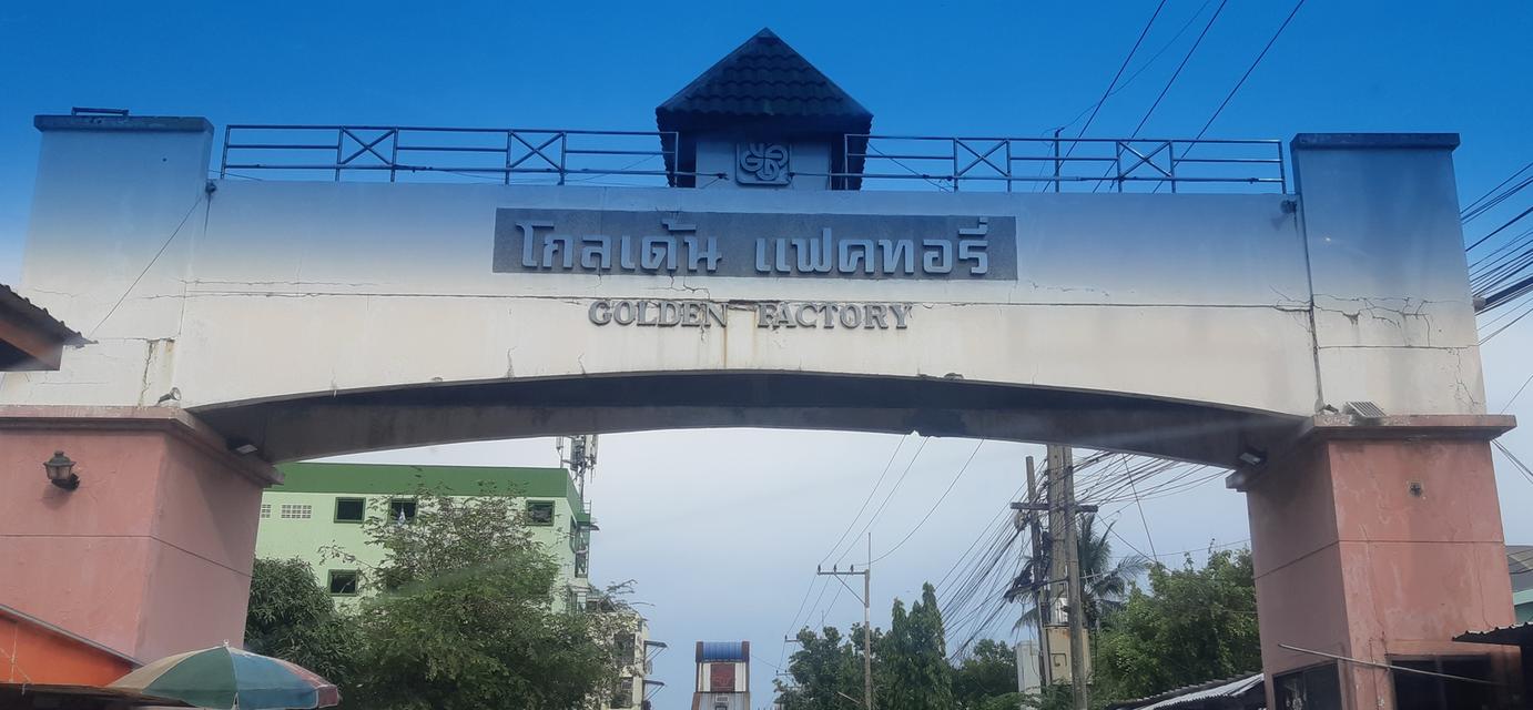 ขายที่ดินโครงการโกลเด้น แฟคทอรี่  ที่ดินจำนวน  2 – 2 - 91 ไร่