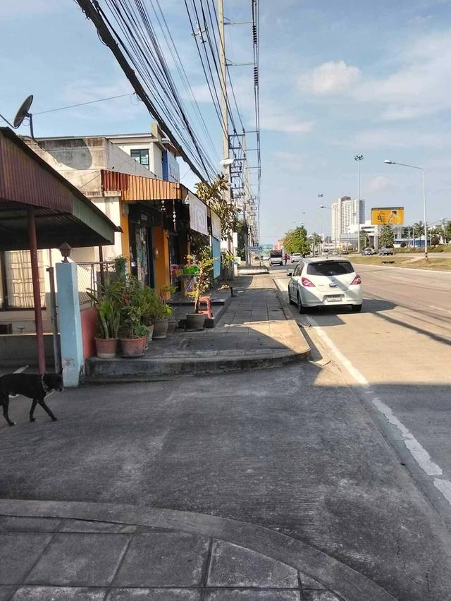 🧿💸บ้านอยู่แล้วรวย 💸🧿ที่ #เชียงใหม่  🚩 อ.เมือง จ.เชียงใหม่พื้น ที่ 192 ตรวา.  หน้าขว้าง 40 เมตร ลึก 20 เมตรพื้นที่หน้าบ้านและข้างกว้างมาก 4