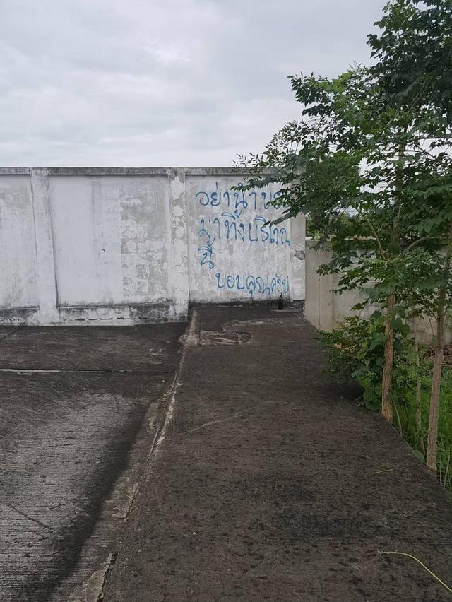 ขายที่ดินเปล่า ในโครงการทิพพิมานซอยวัดลาดปลาดุก 3