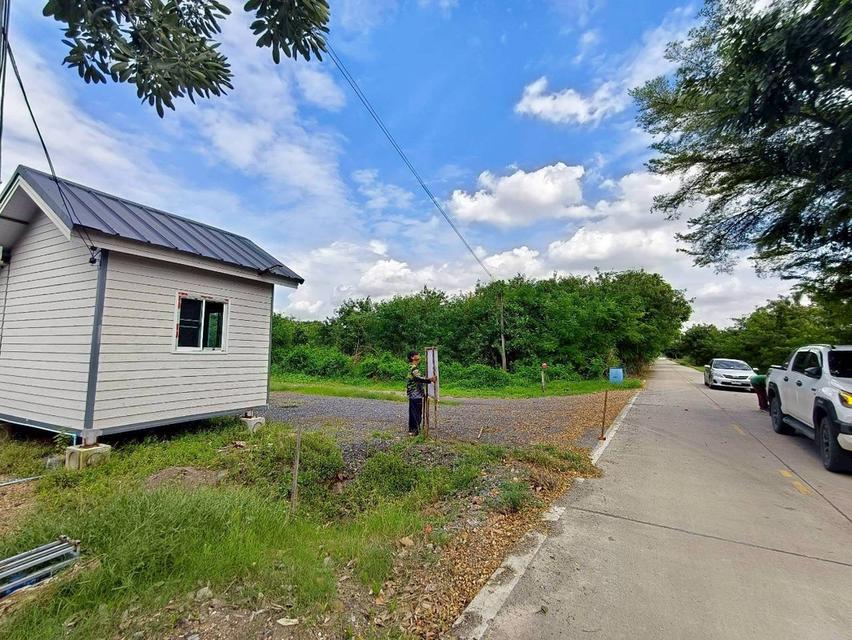 Vายด่วน ที่ดินบางหลวง 93.6 ตารางวา เลียบคลองพระยามหาโยธา ถมแล้ว อ.เมืองปทุม จ.ปทุมธานี