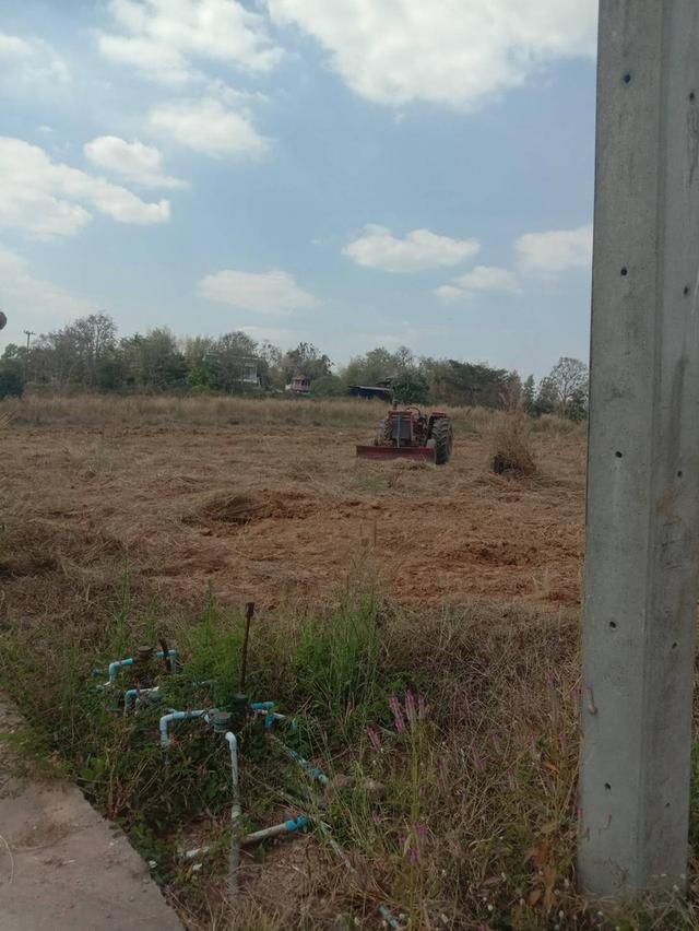 ที่ดินเปล่า มีหลายไร่ แบ่งขาย 1 ไร่ 6 แสน บ้านศิลางาม  วังน้ำเขียว รูปที่ 6