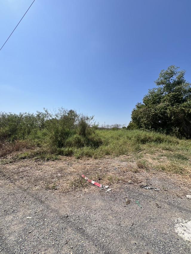 ขายที่ดินบึงน้ำรักษ์ 1 ไร่ คลอง10 ใกล้ถ.รังสิต-นครนายก305-1.2กม. อ.ธัญบุรี จ.ปทุมธานี 7