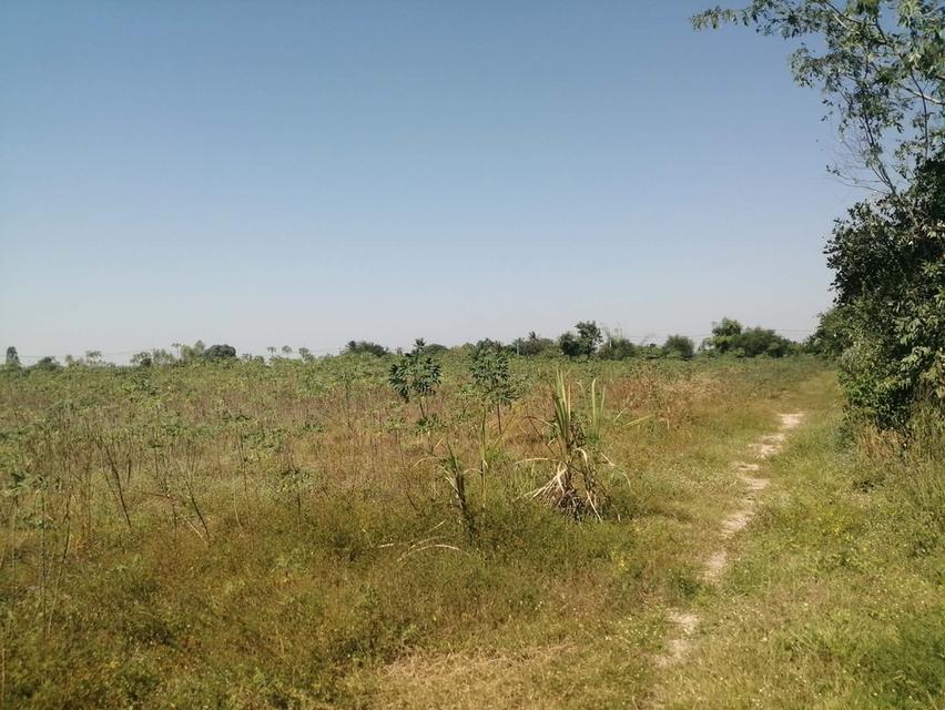 ขายที่ดิน 40 ไร่ ทำเลทอง! ใกล้โรงงาน ต.เขาขลุง อ.บ้านโป่ง เหมาะสร้างโรงงาน/ตลาด น้ำไฟพร้อม ไร่ละ 5 แสน 4