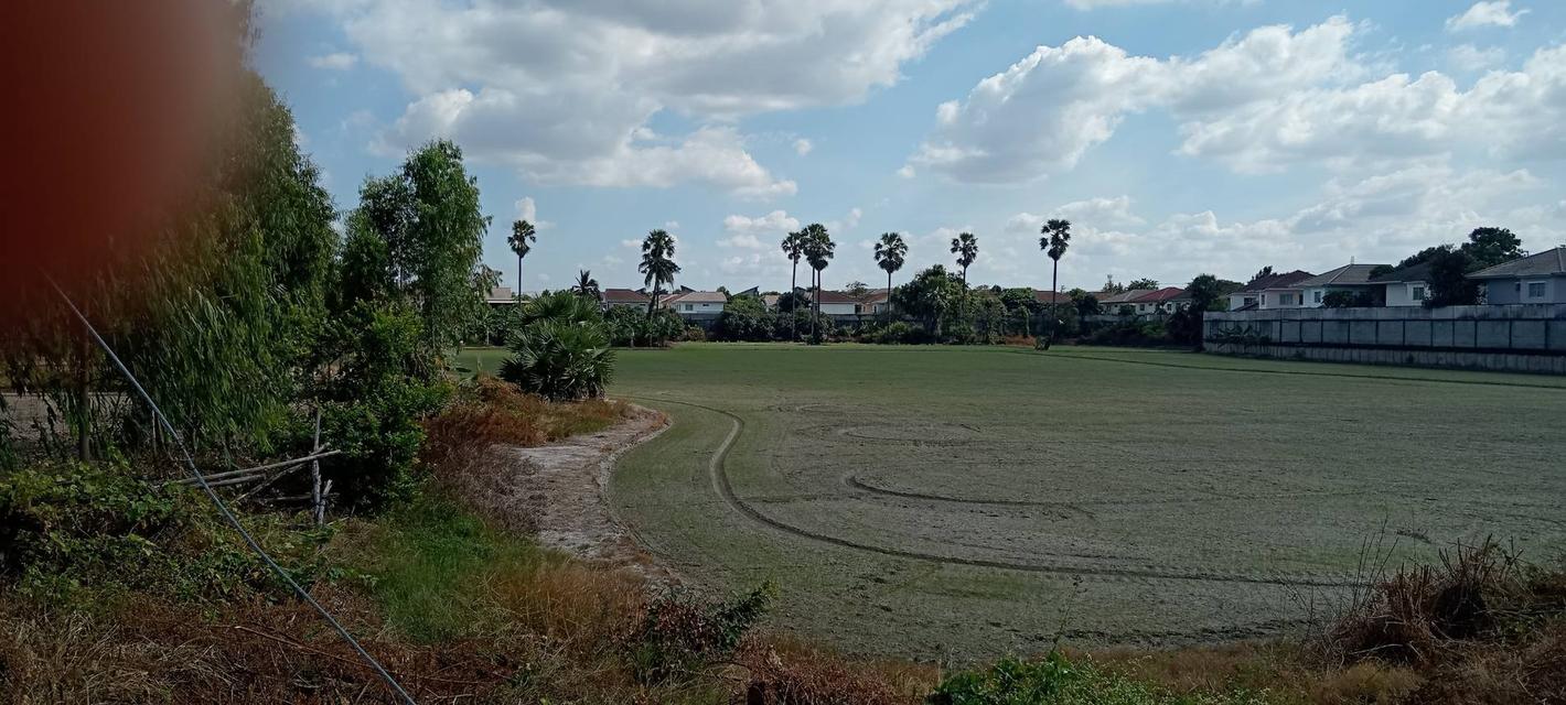 ที่ดิน 15 ไร่ ติดถนนราชพฤกษ์ 3