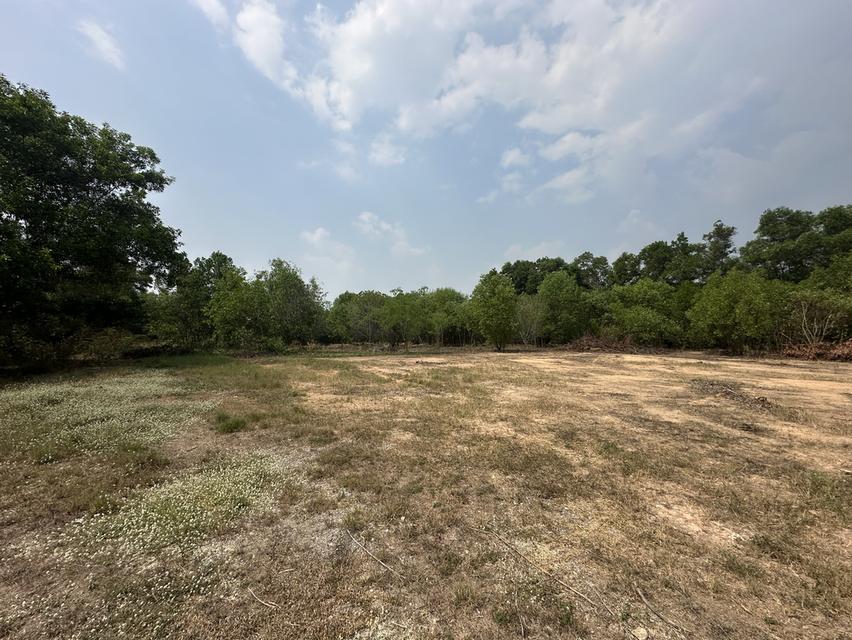 ขายที่ดินเปล่า 2 ไร่ ใกล้โรงเรียนเตรียมทหาร ตำบลศรีกะอาง อำเภอบ้านนา จังหวัดนครนายก 3