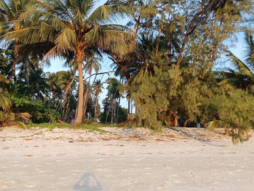 ขายที่ดินติดชายทะเลเกาะสมุย 4