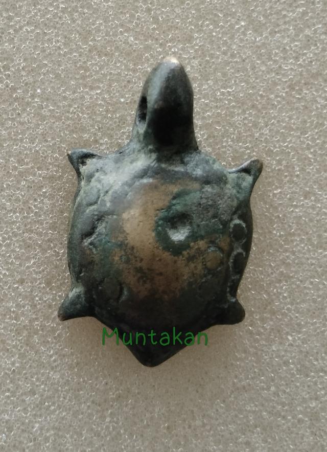 พญาเต่าเรือน(ไม่ระบุที่มา) รูปย่อยที่ 2