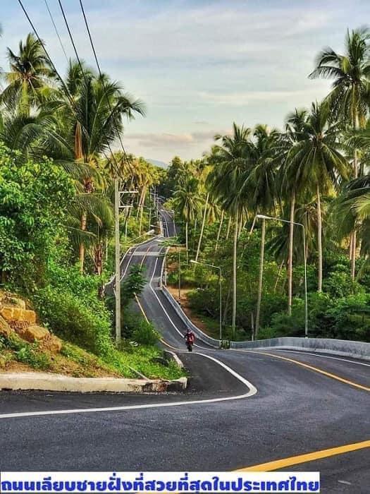 ขาย…ที่ดิน 18 ไร่ใกล้หาดเขาพรายดำ อ่าวขนอม จ.นครศรีธรรมราช 4