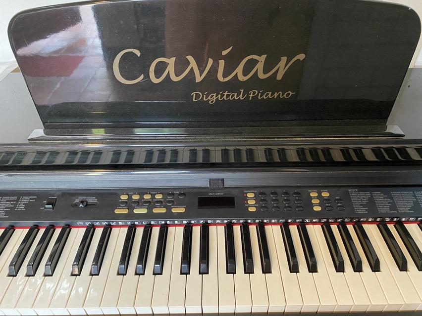ขายเปียโนไฟฟ้า Caviar TG8815 Digital Piano