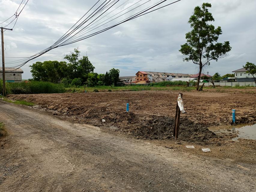รูป ให้เช่าที่ดิน 201ตรว ซอยสมเอก ปากเกร็ด นนทบุรี 1