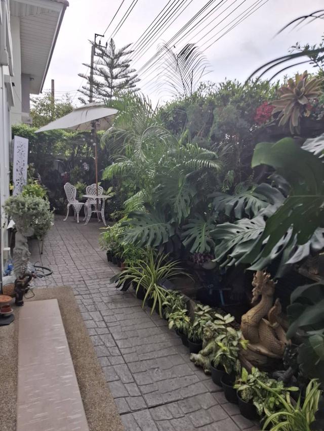 บ้านเดี่ยว หลังมุมติดสวน 11
