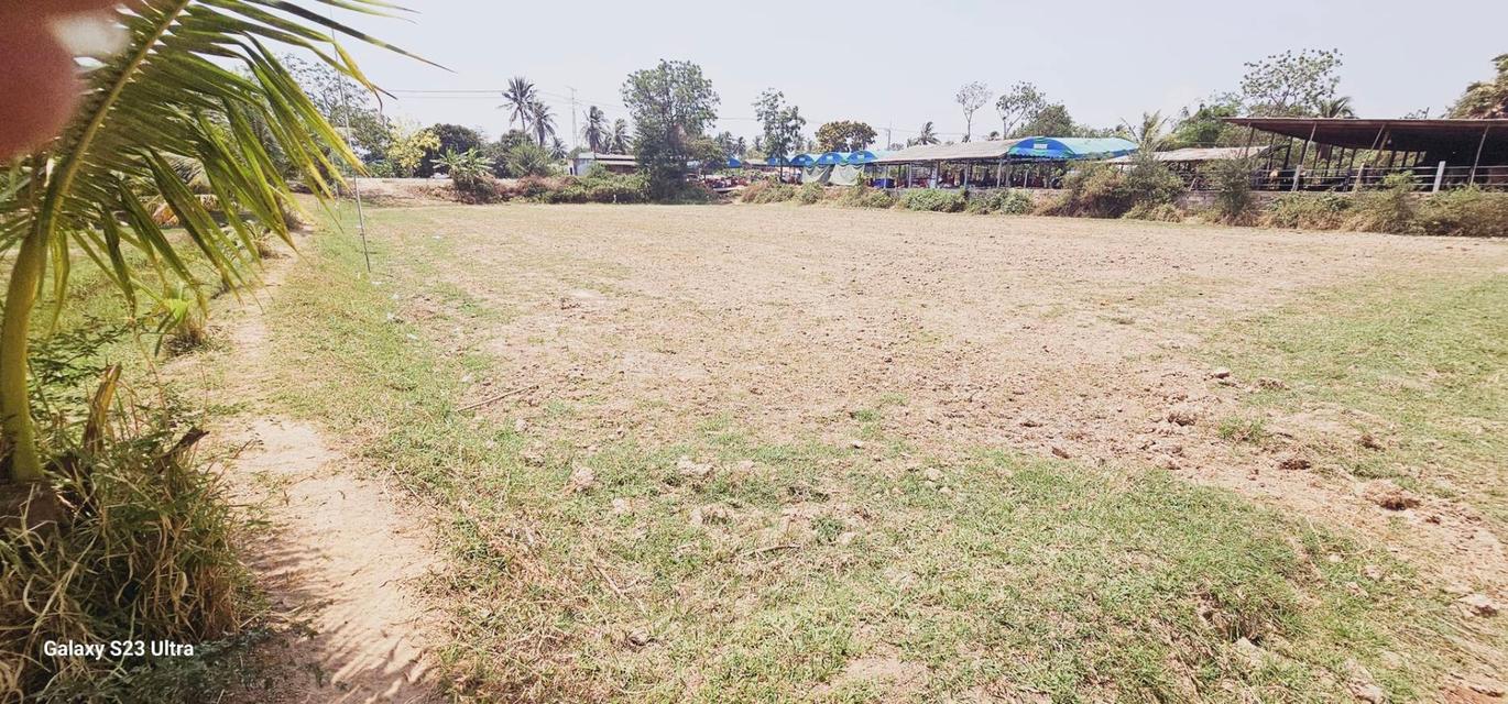 ขายที่ดิน อำเภอท่ายาง จังหวัดเพชรบุรี 12