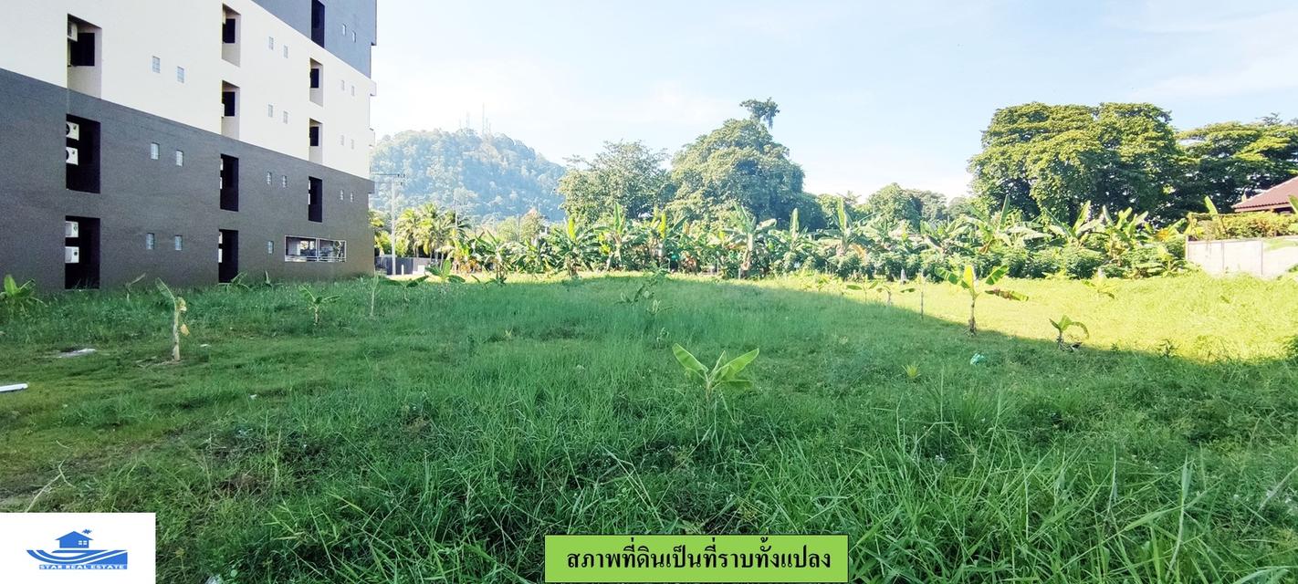 ขายด่วนที่ดิน ติดถ.สุรินทร์ซ.1 เขตเทศบาลเมืองภูเก็ต สร้างอาคารสูง15ชั้นได้  2