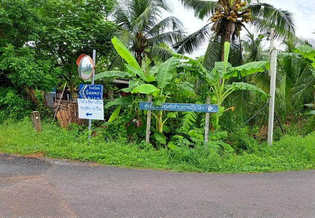 ขายที่ดิน บึงเทพยา ตำบลบางน้ำเปรี้ยว อำเภอบางน้ำเปรี้ยว ฉะเชิงเทรา 8