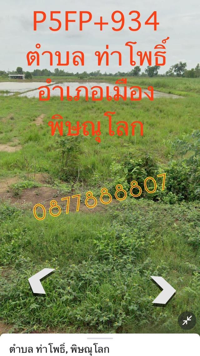 ด่วน! ขายที่ดินในเมืองพิษณุโลก 5 ไร่ 109.7ตร.ว ห่างมหาลัยนเรศวรเพียง 3 กม. ด้านหน้าที่มีคลองน้ำใหญ่ น้ำ/ไฟ พร้อม 2