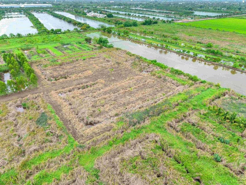 ขายที่ดิน ลาดกระบัง–สนามบินสุวรรณภูมิ เพียง 3,600,000 บาท / 1 ไร่ 5