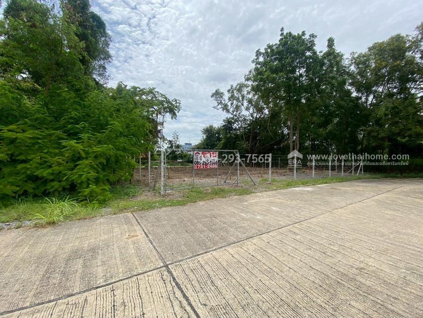 ขายที่ดิน หมู่บ้านเลคการ์เด้นวิลล์ รังสิต คลอง3 ธัญบุรี รังสิต-นครนายก68 พื้นที่ 155 ตรว ด้านหลังติดเลค ใกล้ฟิวเจอร์พาร์ค รังสิต 2