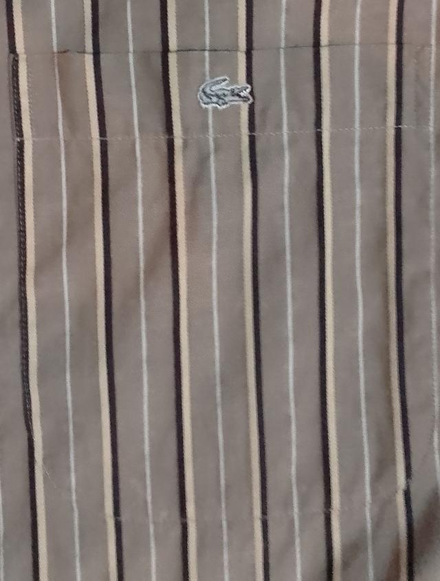 Lacoste แขนยาว 5