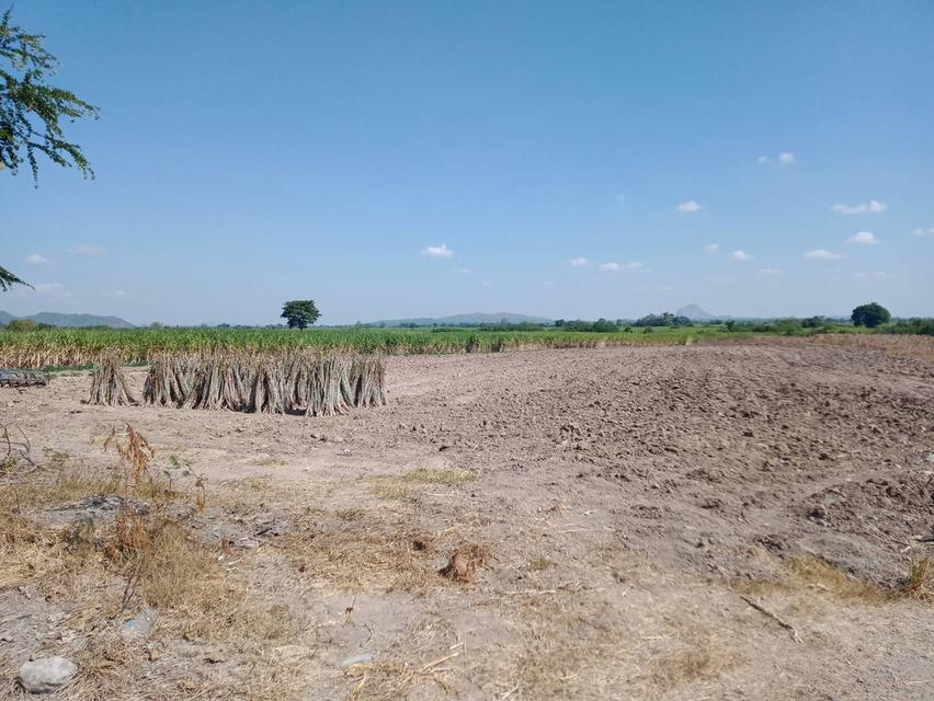 สค.11 จำนวน 140 ไร่ 6