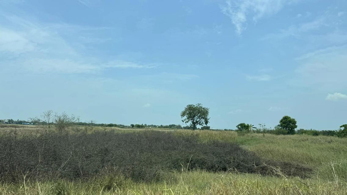 ขาย/เช่าที่ดินฉะเชิงเทรา 45 ไร่ 1