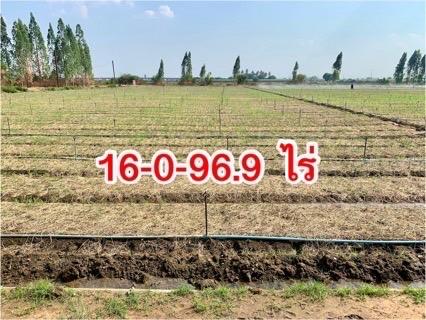 ขายที่ดิน16ไร่ ต.วังศาลา อ.ท่าม่วง แปลงสวย ทำเลดี แหล่งชุมชน ใกล้กรุงเทพ เดินทางสะดวก