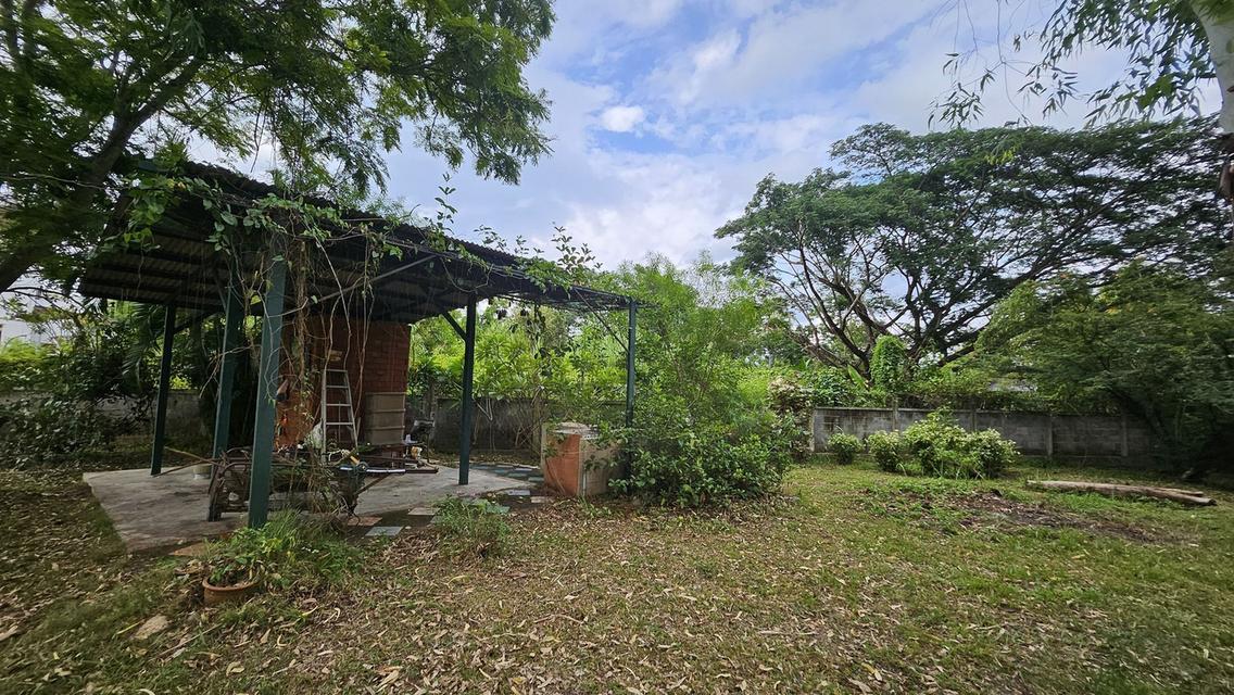 ขายที่ดินที่ดิน ต.หนองควาย พื้นที่ 2-1-83ตรว 22.6 ล้าน