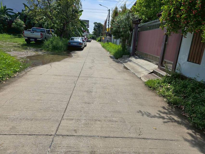 ขายด่วนที่ดินตลิ่งชัน 142 ตรว ติดถนนคอนกรีตสาธารณะ ถมแล้ว พุทธมณฑลสาย ๓ ซอย 22 กทม. 6